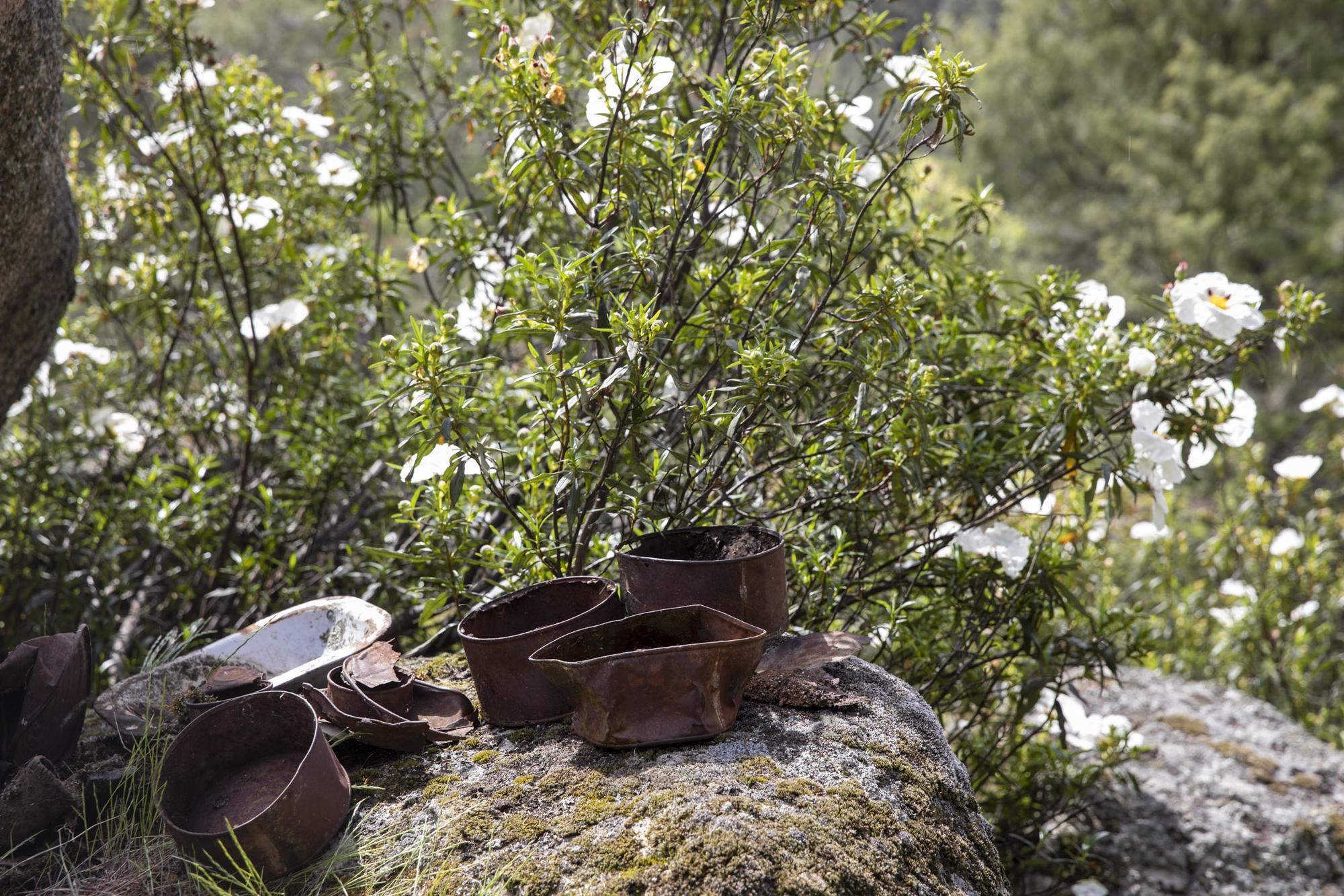 Proyecto arqueológico del Valle de los Caídos. Los campos de trabajo. - 1